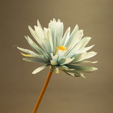 05275db5887319d3fa2bab20d5afcc51e349a74e28ba72ed70671f26f3a3.jpg