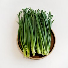 유기농 두매 부추 2kg (500gx4개), 단일상품(상품명참조), 4개