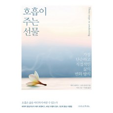 짐머만책