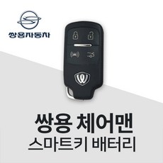 코란도스포츠배터리