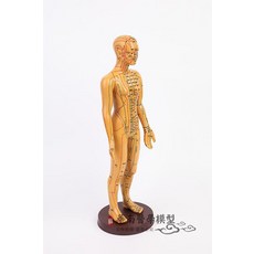 해외 고청 침구 혈위 인체모형 경락 소인 침구 동인 중의 인체 혈위모형, 옵션01