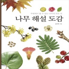 나무해설도감