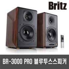 브리츠br3000