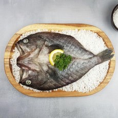 수우도캡틴