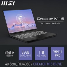 MSI CREATOR M16 B12VE [특가 이벤트], 블랙, 코어i7, 1TB, 32GB, WIN11 Pro