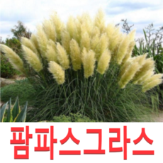 944f56439382c9f3a2b7b28b08d0f1a161a715a94a1cb1c7b957688e0764.png