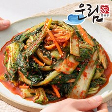 종가집마늘김치-추천-상품