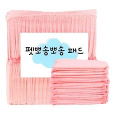 셀럽하우스보타이