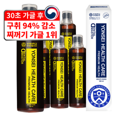 연세생활건강 헬스케어 덴탈 마스터 가글, 500ml, 1개