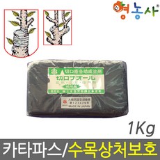 카타파스 1kg 나무 상처 보호제 접목 도포제 식물 기리구찌, 카타파스1kg