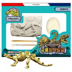 공룡화석발굴(스테고사우르스) 공룡발굴키트 화석캐기