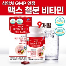 그녀가먹는철분