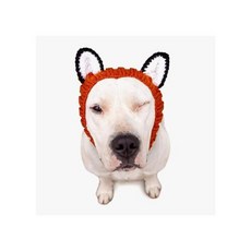 ZOO SNOODS 주 스누드 폭스 FOX, L/One Size