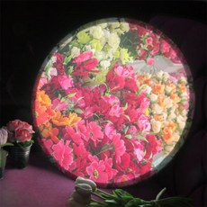 26d6eed508cb6a39fe69e6996daed3a9c9af505ef9a46c548a1bf2c9d057.jpg