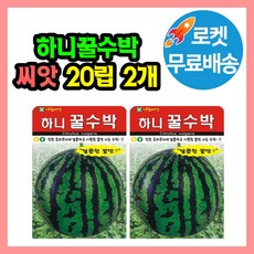 하니꿀수박 씨앗 (합 40립) 꿀수박 고당도 수박 종자, 2개