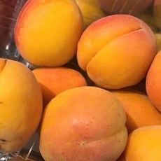신라조경농원
