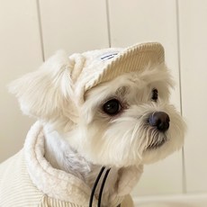 봉쥬르뚜뚜우비