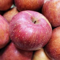 옥이네청과 부사 사과 주스용 10kg (부자재포함) 가정용 기스 흠과 못난이사과, 10키로 주스용(혼합랜덤)실중량, 1개