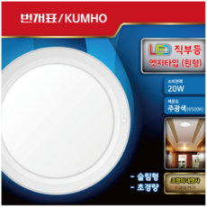 번개표 LED 엣지타입 원형 직부등 20W, 2개