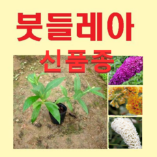 cee6f2b0dd960b878610f94ab347b640b1f1abcf4baf5e399a79bcc17a32.png
