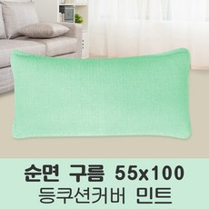포근포그미2인용베게솜