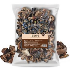 자연산 영지 먹는 법 끓이는 영지버섯 주 담금주 삼계탕 재료 500g, 1개