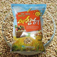 아침농산찰기장