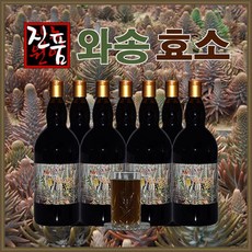 장녹원 와송효소 1100ml