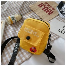 디올미니크로스백