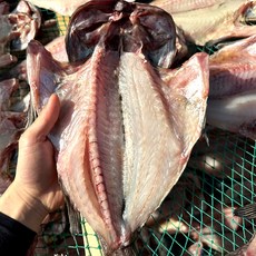 산지직송 국내산 자연산 해풍에 말린 반건조 우럭 300g내외 1미 기준, 1개, 900g내외(3미)