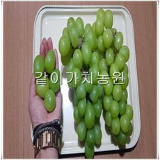 4b8e3402cb6289b209c79fbc34d50ffcb8dfdca1a05081eea25a1169f48d.jpg