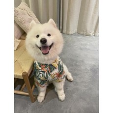 개플룩 휴가셔츠 하와이안셔츠 강아지견주커플룩 패밀리룩 견주옷 커플티 반려견 댕플룩 견주, H. 펫)S, 나뭇잎, 1개