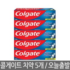 콜게이트 그레이트 레귤러치약 250g x 5개 코스트코 콜게이트 국민치약