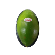 파파야 (쏨땀용 450g 이상 500g내외)