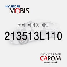 커버-타이밍 체인 (213513L110) 더뉴 카니발 아슬란 올뉴 K7 그랜저IG 그랜저IG 페이스리프트 팰리세이드, 1개