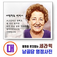 조선왕조계보액자