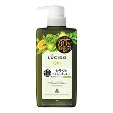 LUCIDO 루시드 의약부외품 약용 데오드란트 바디워시 멘톨 허벌 시트러스 바디 소프 맨즈 노화취 바디워시, 1개