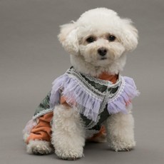  [롯데백화점]루이독 벨벳티 TUTU (2color), 실버 