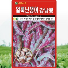 아람종묘 얼룩난쟁이 강낭콩 씨앗 30g 얼룩 난쟁이 강낭콩씨 종자