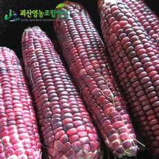 0bf208dedd84d8893a4a78fc667429a5da91d70997758295b03ed017a363.jpg