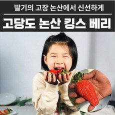 최상품딸기 잘익은 생 딸기 논산딸기 30구 600g~650g, 03. 킹스베리딸기(C상품)