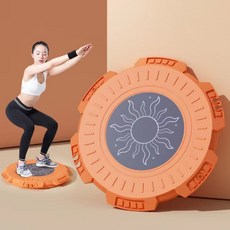  홈트 전신 허리 하체 근력 운동기구 트위스터 원반, 블루 