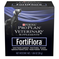 포티플로라고양이