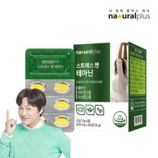 마음치료제