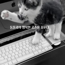 커세어키보드루프