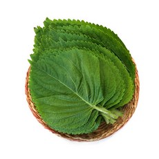 [오창농협] 친환경 깻잎 2봉, 2개