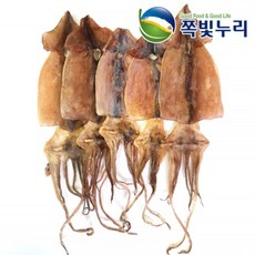 누드오징어