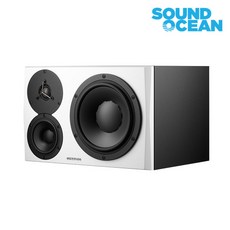 다인오디오에소타