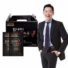 녹투아3070