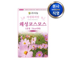 왜성 코스모스 (혼합) 씨앗 1kg (70cm이하) . 키작은 야생화 꽃씨 종자